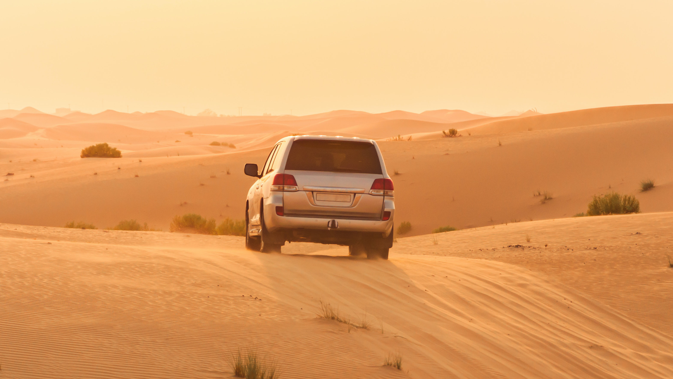 Chargers & Accessories