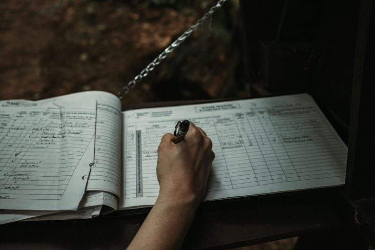 Logbook Servicing