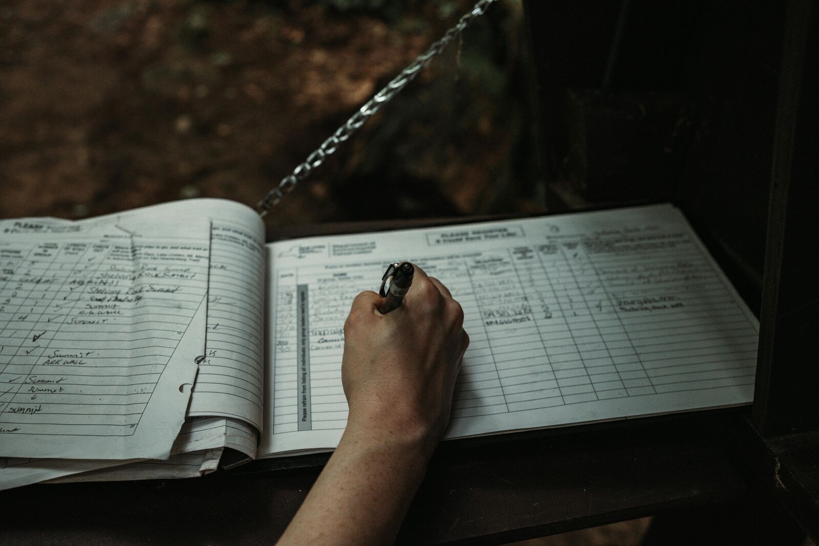 Logbook Servicing