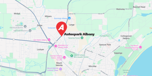 Blog-Branch-When-in-Albany2-min