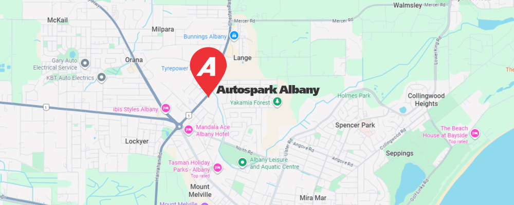 Blog-Branch-When-in-Albany2-min